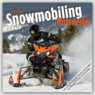 Snowmobiling - Schneemobile 2018 - 16-Monatskalender