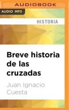 SPA-BREVE HISTORIA DE LAS CR M