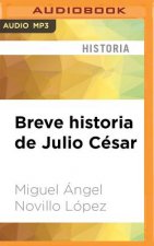 SPA-BREVE HISTORIA DE JULIO  M