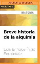 SPA-BREVE HISTORIA DE LA ALQ M