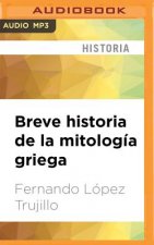 SPA-BREVE HISTORIA DE LA MIT M