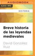 SPA-BREVE HISTORIA DE LAS LE M