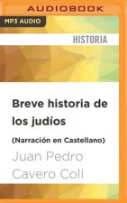 SPA-BREVE HISTORIA DE LOS JU M