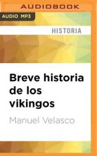 SPA-BREVE HISTORIA DE LOS VI M