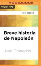 SPA-BREVE HISTORIA DE NAPOLE M