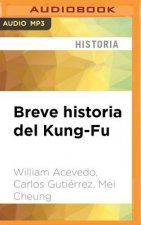 SPA-BREVE HISTORIA DEL KUNG- M