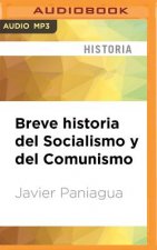 SPA-BREVE HISTORIA DEL SOCIA M