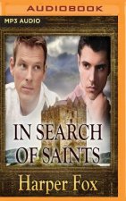 IN SEARCH OF SAINTS          M