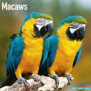 Macaws - Ara-Papageien - Aras 2018