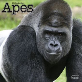 Apes - Affen 2018