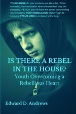 IS THERE A REBEL IN THE HOUSE