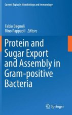 Protein and Sugar Export and Assembly in Gram-positive Bacteria