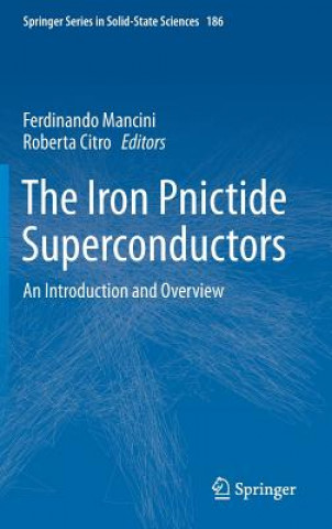 Iron Pnictide Superconductors