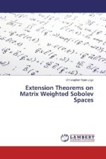 Extension Theorems on Matrix Weighted Sobolev Spaces
