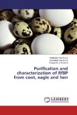 Purification and characterization of RfBP from coot, eagle and hen
