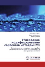 Uglerodnoe modificirovanie sorbentov metodom CVD
