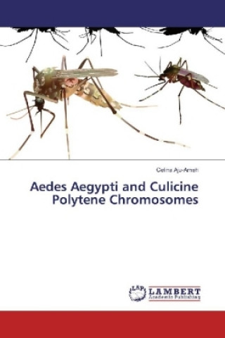 Aedes Aegypti and Culicine Polytene Chromosomes