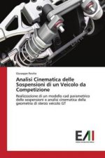 Analisi Cinematica delle Sospensioni di un Veicolo da Competizione