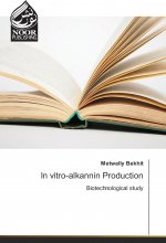 In vitro-alkannin Production