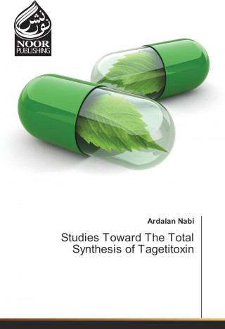 Studies Toward The Total Synthesis of Tagetitoxin