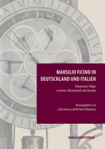 Marsilio Ficino in Deutschland und Italien