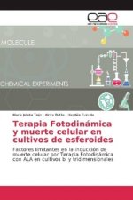 Terapia Fotodinámica y muerte celular en cultivos de esferoides