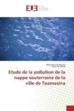 Etude de la pollution de la nappe souterraine de la ville de Toamasina