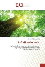 InGaN solar cells