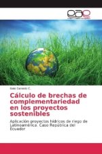 Cálculo de brechas de complementariedad en los proyectos sostenibles