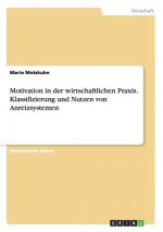 Motivation in der wirtschaftlichen Praxis. Klassifizierung und Nutzen von Anreizsystemen