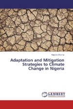 Adaptation and Mitigation Strategies to Climate Change in Nigeria
