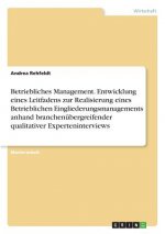 Betriebliches Management. Entwicklung eines Leitfadens zur Realisierung eines Betrieblichen Eingliederungsmanagements anhand branchenübergreifender qu