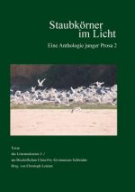 Staubkoerner im Licht