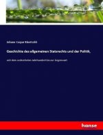 Geschichte des allgemeinen Statsrechts und der Politik,