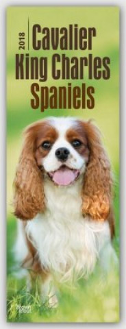 Cavalier King Charles Spaniels 2018