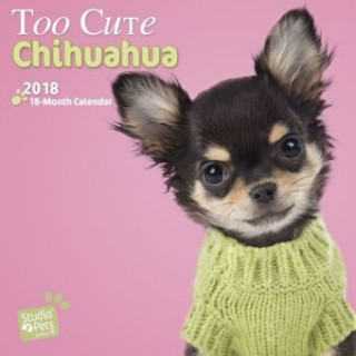 Too Cute Chihuahua - Chihuahuas 2018 - 18-Monatskalender