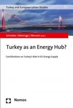 Turkey as an Energy Hub?