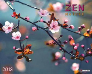 Zen Nature Decor 2018