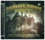 Der Werwolf von Blackwood Castle Folge 41