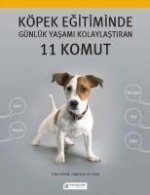 Köpek Egitiminde Günlük Yasami Kolaylastiran 11 Komut