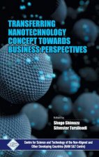 Transferring Nanotechnology Concept Towards Business Perspectives