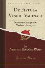 De Fistula Vesico-Vaginali
