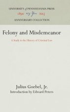 Felony and Misdemeanor