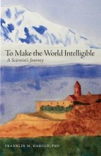 To Make the World Intelligible