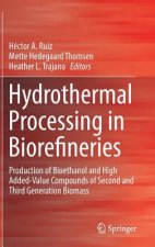 Hydrothermal Processing in Biorefineries