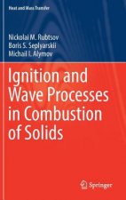Ignition and Wave Processes in Combustion of Solids