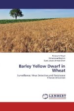 Barley Yellow Dwarf in Wheat