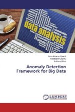 Anomaly Detection Framework for Big Data