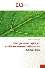Energie électrique et croissance économique au Cameroun