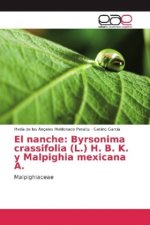 El nanche: Byrsonima crassifolia (L.) H. B. K. y Malpighia mexicana A.